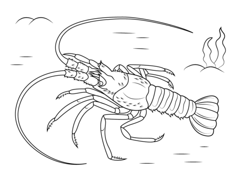 Mediterranean Lobster Coloring Page